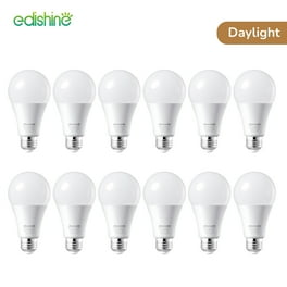 Light Society Niva 60-Watt Equivalent G25 Clear LED Filament Light Bulb (4-Pack) Light Society Niva 60-Watt Equivalent G25 Clear LED Filament Light Bulb (4-Pack)