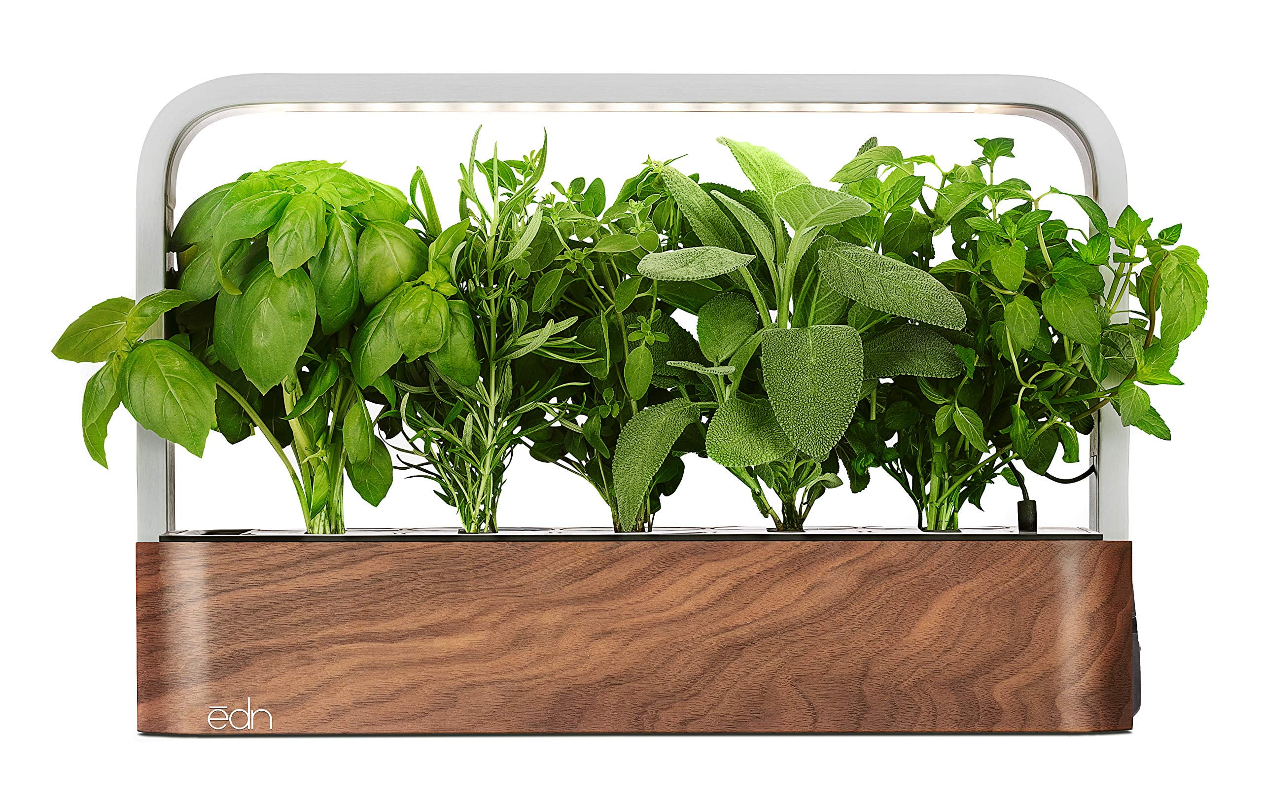 EDN SmallGarden with Basil SeedPods, Indoor Grow Smart Garden Starter