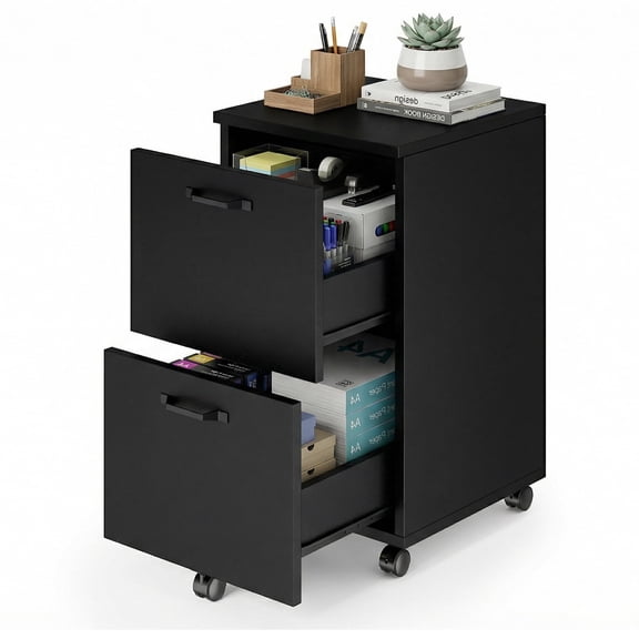 EDX 2 Drawer File Cabinet, Rolling File Cabinet with Lockable Wheels, Printer Stand with Storage, for Home Office,Black
