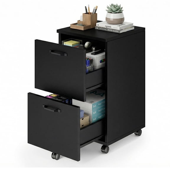 EDX 2 Drawer File Cabinet, Rolling File Cabinet with Lockable Wheels, Printer Stand with Storage, for Home Office,Black