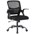 thumbnail image 1 of EDX Desk Chair with Ergonomic Lumbar Support, Flip-Up Armrests & Removable Footrest - 250lbs Capacity, Suitable for Home, Office, Bedroom, Black, 1 of 9
