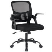 EDX Desk Chair with Ergonomic Lumbar Support, Flip-Up Armrests & Removable Footrest - 250lbs Capacity, Suitable for Home, Office, Bedroom, Black
