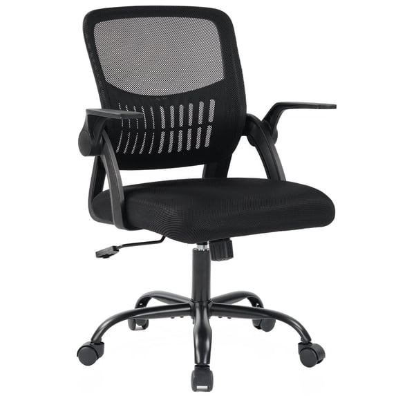 EDX Desk Chair with Ergonomic Lumbar Support, Flip-Up Armrests & Removable Footrest - 250lbs Capacity, Suitable for Home, Office, Bedroom, Black