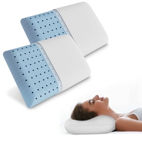 EDX Standard Size Memory Foam Pillows,Neck Pain Relief Pillows with Washable Cover and Breathable Mesh for Side, Back and Stomach Sleepers,2 Pack