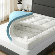 EDX Queen Size-Dual Layer 4 Inch Memory Foam Mattress Topper - 2 Inch Gel Memory Foam & 2 Inch Mattress Protector, Soft Skin-Friendly Down-Alternative Breathable