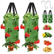 EEEkit 2pcs Hanging Plant Growing Planters, 13 Holes Garden Upside-Down Planting Bags for Strawberry, Green