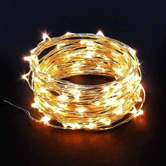 EFEMF-100 LED String Lights, 32 Feet, Silver Wire, Warm White, Plug-in, Indoor-Outdoor, 5V DC Transformer