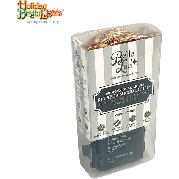 EFEMF-Fairy Lights 33FT Big Seed Micro String, 100 Warm White LEDs on Flexible Copper Wire, Battery-Powered Indoor/Outdoor