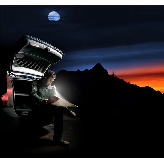 EFEMF-Maglite Mini LED 2-Cell AA Flashlight with Holster, Black, 6.5 inch, SP2201HLp