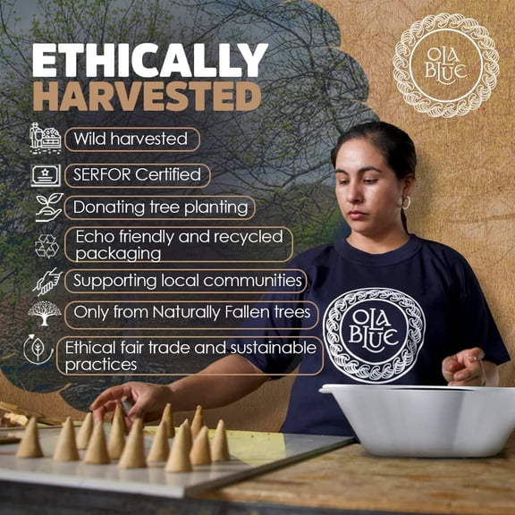 EFEMF-Palo Santo Incense Sticks (12 Pack) and Holder from Peru Premium Authentic - Handmade & Hand Rolled - Cleansing Bad Energy (Incense Cones)