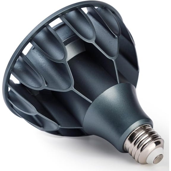 EFEMF-Par38 Underwater LED Pool Lights 120V 60 Watt Equivalent, Energy Efficient 30W, High Bright White 6000K, E26 Standard Base, Replacement for Pentair Hayward 600W Inground Pool Light Bulb