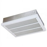 Qmark Heavy-Duty Ceiling Mounted Heater EFF1500