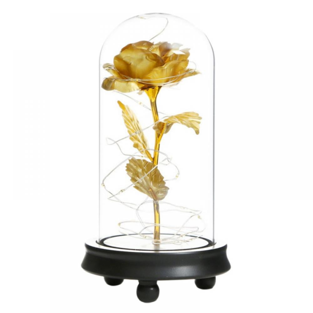 EFINNY 24K Gold Plating Rose Flower Glass Dome Transparent Rose with