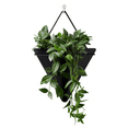 thumbnail image 1 of EFINNY Geometric Black Acrylic Modern Decor Wall Hanging Planter with Attractive Design, 1 of 6