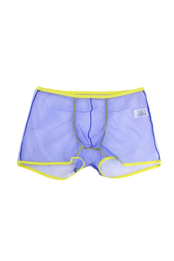 Men's Sexy Mesh Sheer Bulge Pouch Trunks Boxer Briefs