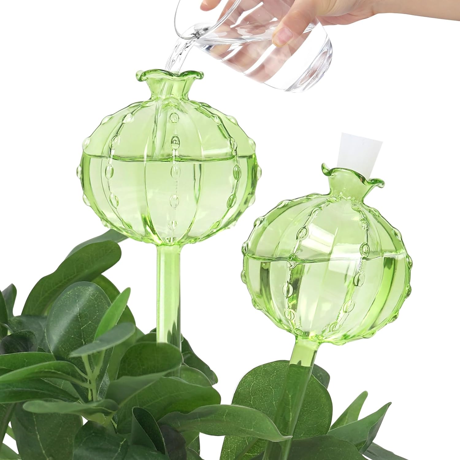 EFINNY Plant Self Watering Globes Glass Water Bulbs for Planter Insert