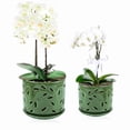 thumbnail image 1 of EFISPSS orchid pot with holes，5+6 inch Ceramic plant pots with holes and tray,promoting air circulation and drainage,indoor/outdoor green flower pot，Set of 2, 1 of 7