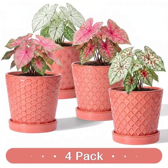 EFISPSS 5 inch Magenta red Ceramic Plant Pots with Drainage Holes & Saucers, 4-Pack for Herbs, Cactus, Succulents, Home Office Decor