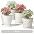 thumbnail image 1 of EFISPSS 5 inch White Ceramic Plant Pots with Drainage Holes and Tray, 4-Pack Indoor Flower Pots for Herbs, Cactus, Home & Office Decor, 1 of 6