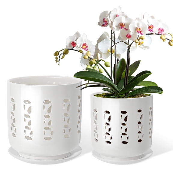 EFISPSS 6 & 5 Inch White Ceramic Orchid Pots – Set of 2 with 2 Bottom Trays, Drainage Holes, Indoor/Outdoor Planters for Repotting and Root Ventilation