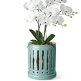 thumbnail image 1 of EFISPSS 6" Ceramic Plant pot with Vertical Flutes–Robin's Egg Blue，Orchid Pots with hole and drainage Tray, 1 of 6
