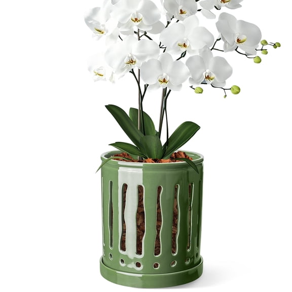 EFISPSS 6" Modern Ceramic Planter with Vertical Flutes–Evergreen，Orchid Pots with Drainage Tray