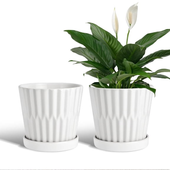 EFISPSS 6 Inch Pots for Indoor Plants,Ceramic Plant Pots,Planters with Drainage Hole and Saucer, Flower Pots Desktop Office Windowsill Decoration Gift Set of 2 - White