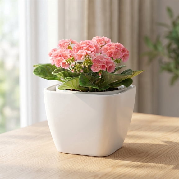 EFISPSS Self Watering Planters for Indoor Plants : 6 inch White Square Ceramic African Violet Self Watering Flower and Herb pots
