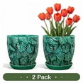 thumbnail image 1 of EFISPSS 6 inch Green Ceramic Plant Pots with Drainage & Saucer, Natural Boho Crackle Glaze, Indoor/Outdoor Flower Pot, 2 Pack, 1 of 6