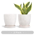 thumbnail image 1 of EFISPSS 6 inch White Ceramic Plant Pots with Drainage & Saucer, Natural Boho Crackle Glaze, Indoor/Outdoor Flower Pot, 2 Pack, 1 of 7