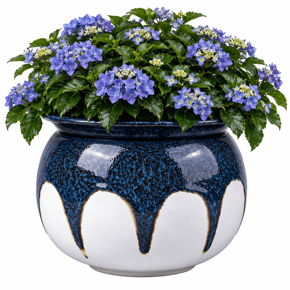 EFISPSS 8" Self-Watering Ceramic African Violet Pots – Blue Gradient