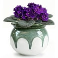thumbnail image 1 of EFISPSS African violet pots, 6 inch ceramic easy self watering plant pot for busy plant lovers- Green Gradient | Natural Home Decor, 1 of 8