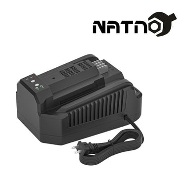 For EGO Power+ 56V 4A Battery Rapid Charger replacement EGO 56V Battery Charger CH2100 CH3200 CH5500, Compatible with All EGO 56V Battery BA2800 BA1400 BA5635 BA4200