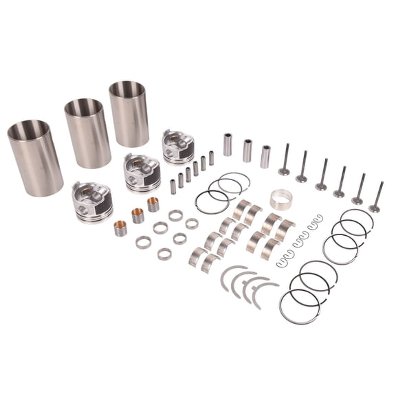 EGOESWELL Engine Overhaul Rebuild Kit STD D1105