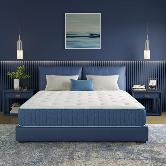 EGOHOME Queen 10 inch Hybrid Mattress with Individually Wrapped Pocket Coils, Medium, Pressure Relief, Mattress in a Box