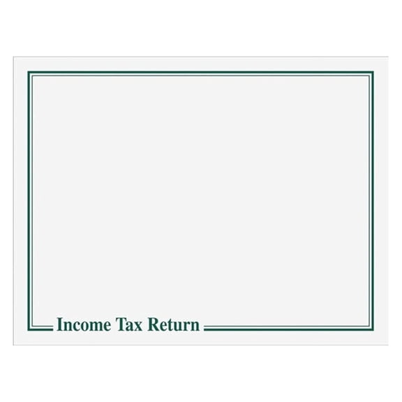 EGP Income Tax Return Delivery Envelope, Size 13x10, Quantity 100, Green