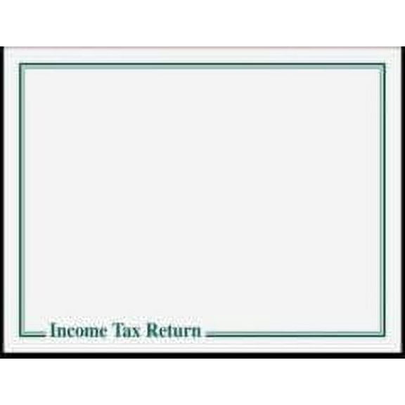 EGP Income Tax Return Delivery Envelope, Size 13x10, Quantity 100, Green