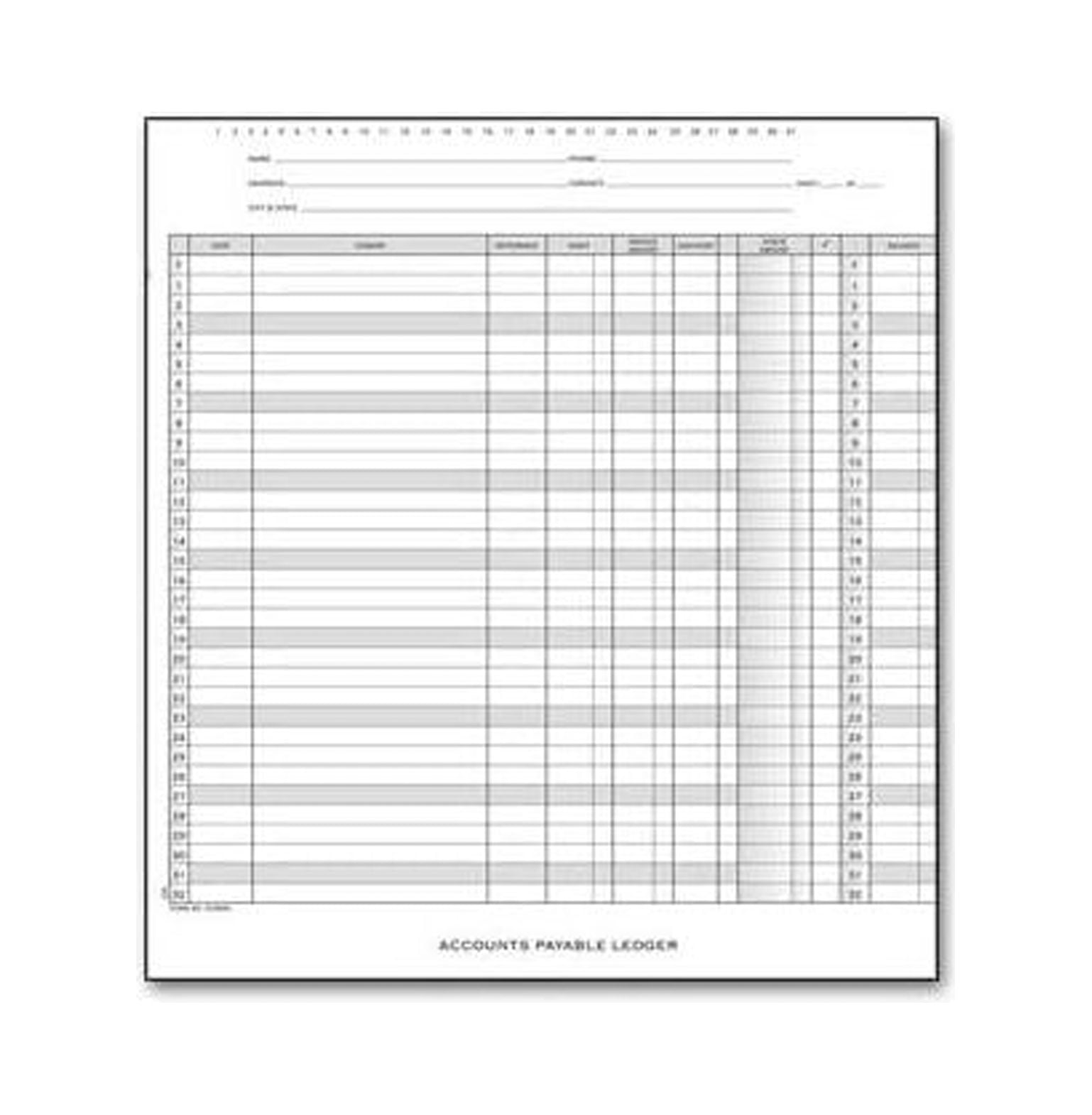 EGP One Write Accounts Payable Ledger