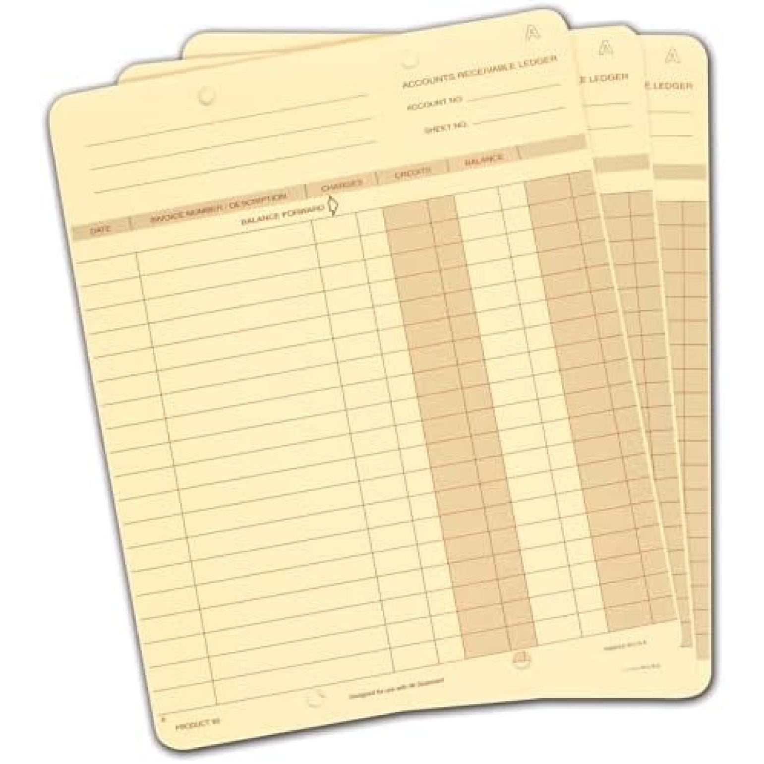 EGP One Write Ledger Card, 250 Ledgers