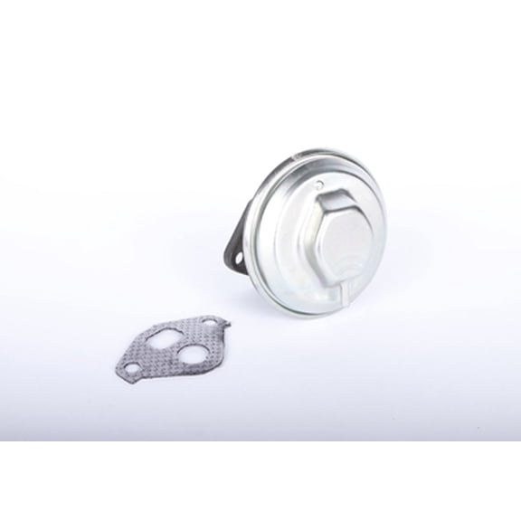 EGR Valve Kit