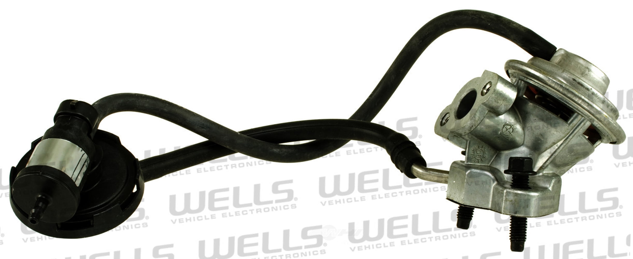 EGR Valve