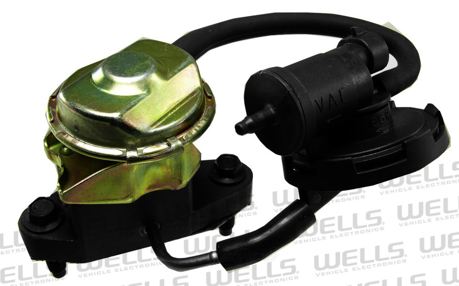 EGR Valve