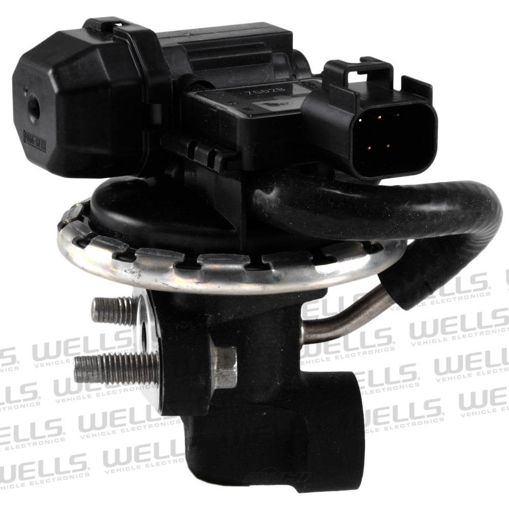 EGR Valve