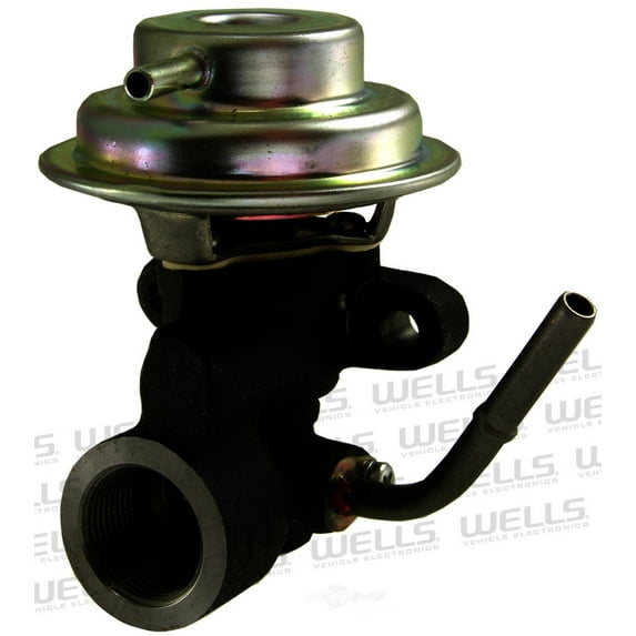 EGR Valve