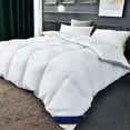 thumbnail image 1 of EGYMEN Down Duvet, Goose Down Comforter for Cozy Winter Nights, Warm Quilt for Cold Weather, Lightweight Thermal Coverlet for All Seasons(White), 1 of 7