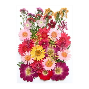 EGYMEN Dried Flowers Kit, Natural Dried Botanicals For Resin Art, Embossed Floral Crafts, Preserved Flowers For Candle Making And Diy Projects