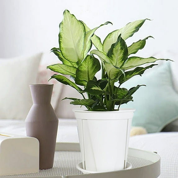 EGYMEN Flower Pot, Durable Plastic Plant Container With Drainage Holes, Stylish Indoor Outdoor Flower Planter, Modern Succulent And Herb Holder(White)