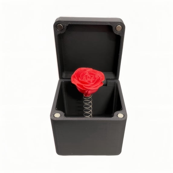 EGYMEN Surprise Box, Hilarious Gift Box for Adults with Cheeky Humor, Fun Gift Package for Laugh-Out-Loud Moments, Thoughtfully Assembled Present for Unforgettable Experiences