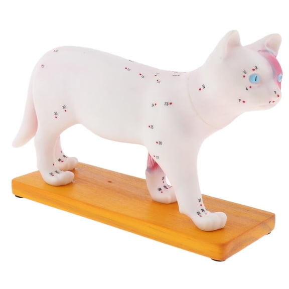 EHJRE 1:1 Cat Acupuncture Model With 36 Acupuncture Points Professional Teaching Tool