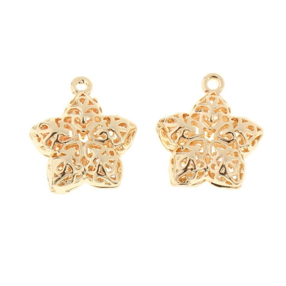 EHJRE 2Pc Golden Star Charm Pendant DIY Bracelet Necklace Jewelry 18x15mm Hole 2mm